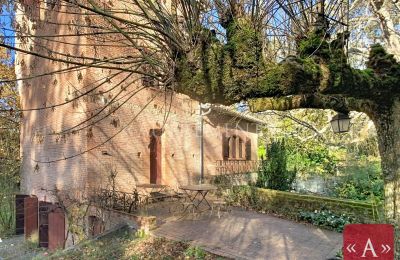 Historische Anwesen, Restaurierte Mühle mit Park und Bachlauf in Montastruc-la-Conseillère
