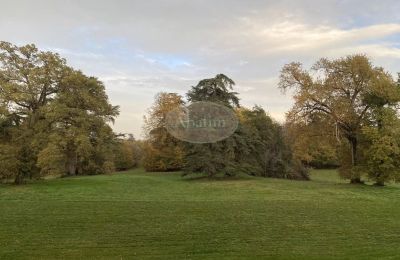 Schloss kaufen Mirande, Okzitanien, Foto 26/26