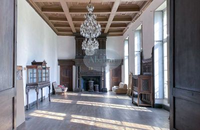 Schloss kaufen Mirande, Okzitanien, Foto 8/26