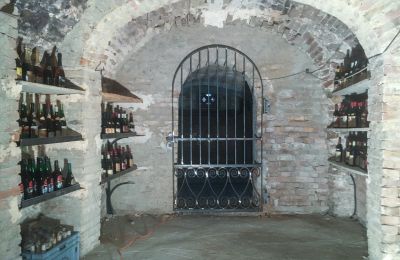 Stadtpalais kaufen Alice Bel Colle, libertà 11, Piemont, Weinkeller