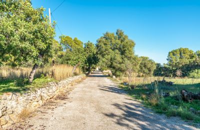 Herrenhaus/Gutshaus kaufen Palma, Balearische Inseln, Foto 20/24