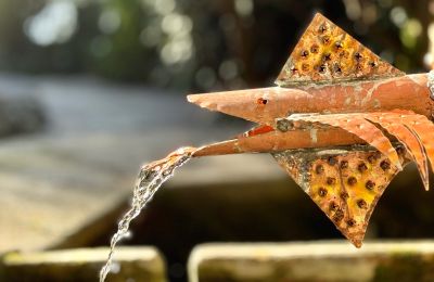 Historische Villa kaufen Verbania, via Intra Premeno, Piemont, Foto 5/50
