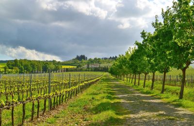 Landhaus kaufen Sarteano, Toskana, Foto 46/50