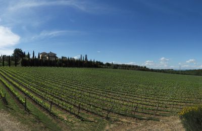 Landhaus kaufen Sarteano, Toskana, Foto 50/50