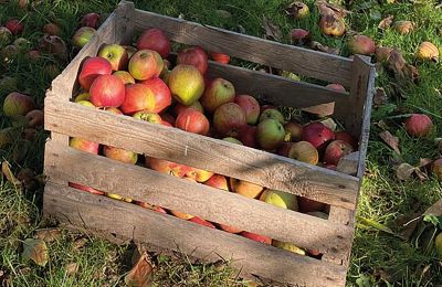 Burg kaufen Mecklenburg-Vorpommern, Foto 78/96