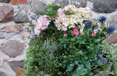 Burg kaufen Mecklenburg-Vorpommern, Foto 53/96