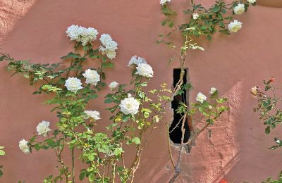 Burg kaufen Mecklenburg-Vorpommern, Foto 45/96