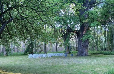 Burg kaufen Mecklenburg-Vorpommern, Foto 68/96