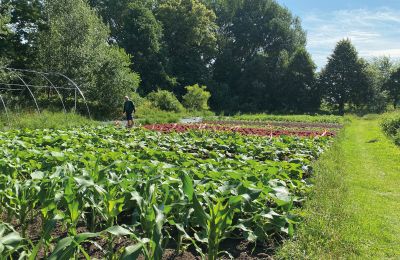 Burg kaufen Mecklenburg-Vorpommern, Foto 62/96