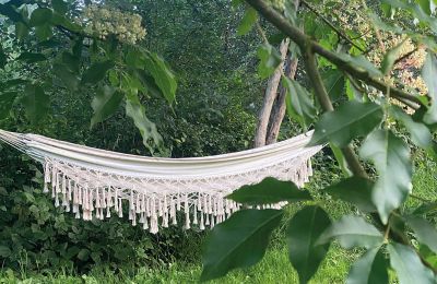 Burg kaufen Mecklenburg-Vorpommern, Foto 70/96