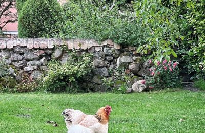Burg kaufen Mecklenburg-Vorpommern, Foto 75/96