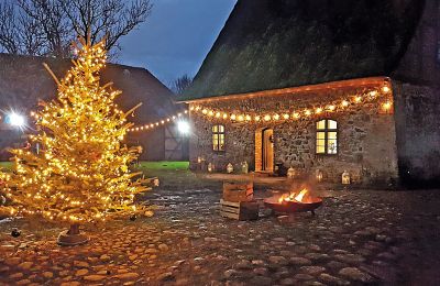 Burg kaufen Mecklenburg-Vorpommern, Foto 50/96