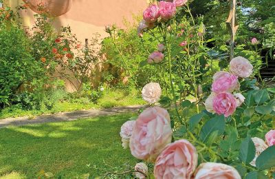 Burg kaufen Mecklenburg-Vorpommern, Foto 46/96
