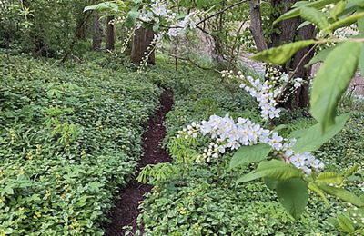Burg kaufen Mecklenburg-Vorpommern, Foto 58/96
