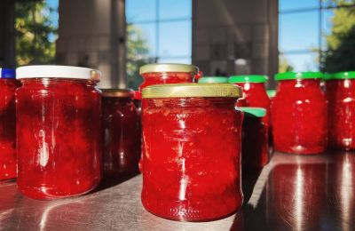 Burg kaufen Mecklenburg-Vorpommern, Foto 63/96