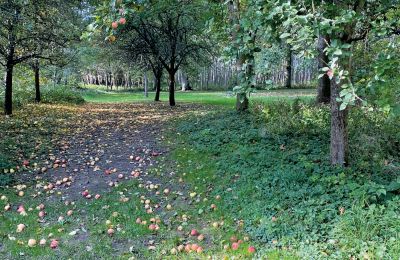 Burg kaufen Mecklenburg-Vorpommern, Foto 69/96
