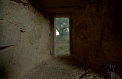 Landhaus kaufen 06019 Polgeto, Umbrien, Foto 9/28