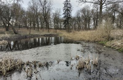 Herrenhaus/Gutshaus kaufen Bolkowice, Dwór w Bolkowicach, Westpommern, Park