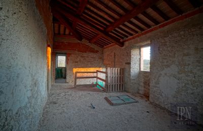 Landhaus kaufen Italien, Foto 24/26