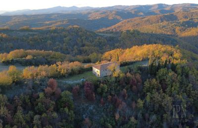 Landhaus kaufen Italien, Foto 5/26