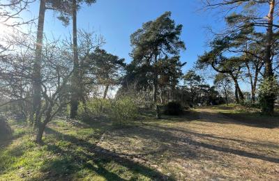 Landhaus kaufen 17375 Leopoldshagen, Mecklenburg-Vorpommern, Blick in die Einfahrt
