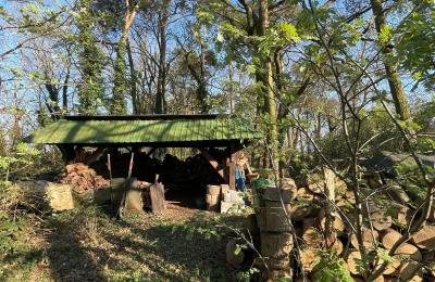 Landhaus kaufen 17375 Leopoldshagen, Mecklenburg-Vorpommern, Brennholzlager