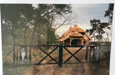 Landhaus kaufen 17375 Leopoldshagen, Mecklenburg-Vorpommern, Foto 40/50