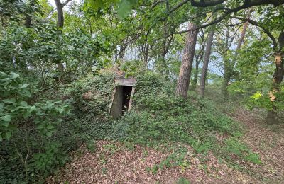 Landhaus kaufen 17375 Leopoldshagen, Mecklenburg-Vorpommern, Erdbunker