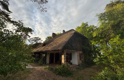 Landhaus kaufen 17375 Leopoldshagen, Mecklenburg-Vorpommern, Abendstimmung