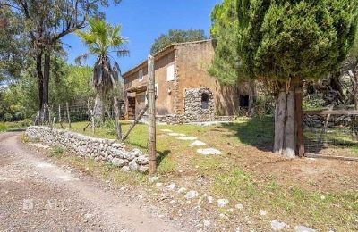 Herrenhaus/Gutshaus kaufen Escorca, Balearische Inseln, finca-escorca-29