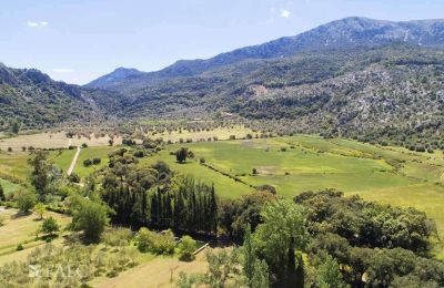 Herrenhaus/Gutshaus kaufen Escorca, Balearische Inseln, finca-escorca-39