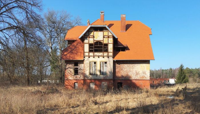 Historische Villa kaufen Słubice, Lebus