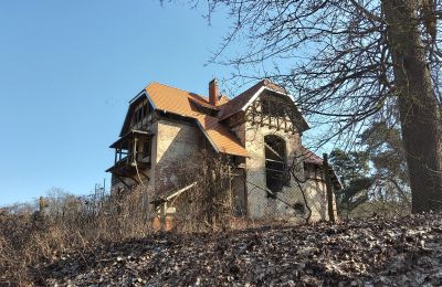 Historische Villa kaufen Słubice, Lebus, Foto 3/15