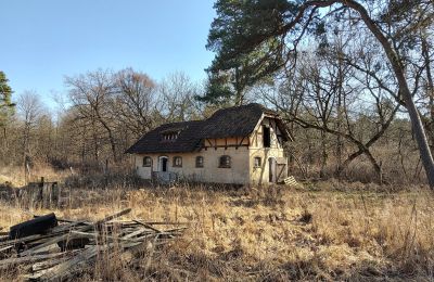 Historische Villa kaufen Słubice, Lebus, Foto 4/15
