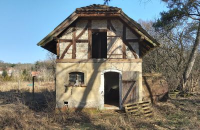 Historische Villa kaufen Słubice, Lebus, Foto 5/15