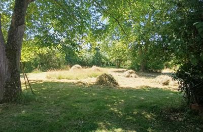 Landhaus kaufen Deutschland, Foto 11/32