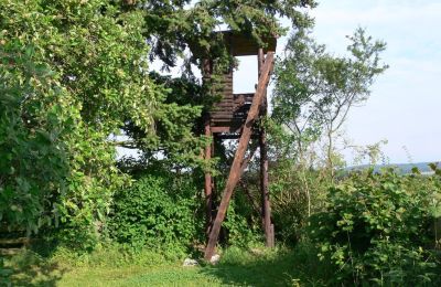 Landhaus kaufen Deutschland, Foto 15/32