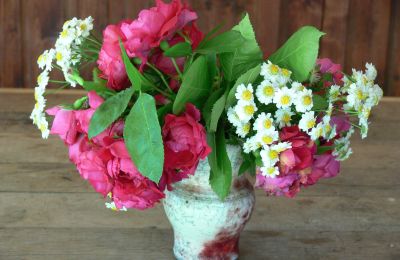 Landhaus kaufen Deutschland, Foto 28/32