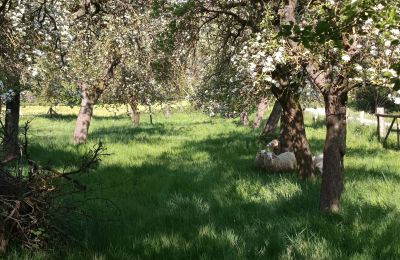 Landhaus kaufen Deutschland, Foto 29/32