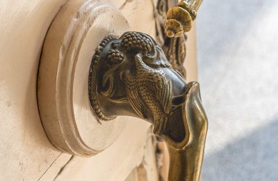 Schloss kaufen Malina , Lodz, Foto 5/32