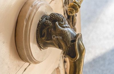 Schloss kaufen Malina, Pałac Malina, Lodz, Foto 7/28