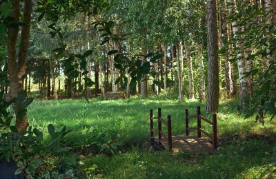 Herrenhaus/Gutshaus kaufen Stary Dzierzgoń, Pommern, Foto 34/39