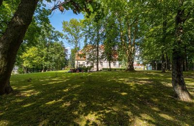 Schloss kaufen Marzewo, Ermland-Masuren, Park