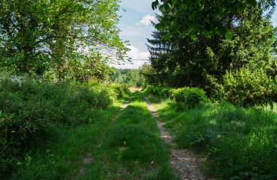 Herrgård till salu Bosowice, Bosowice 80, województwo świętokrzyskie, Bild 15/25