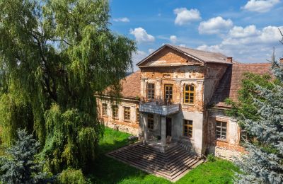 Herrgård till salu Bosowice, Bosowice 80, województwo świętokrzyskie, Bild 8/25