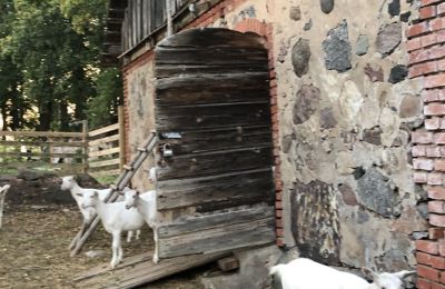 Herrenhaus/Gutshaus kaufen Vandzene, Kurland, Foto 4/7