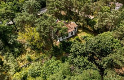 Historische Villa kaufen Konstancin-Jeziorna, Masowien, Foto 6/9