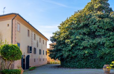 Historische Villa kaufen Crespina, Toskana, Foto 33/38