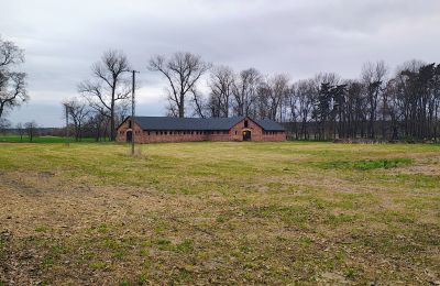 Herrenhaus/Gutshaus kaufen Raszków, Heiligkreuz, Foto 5/16
