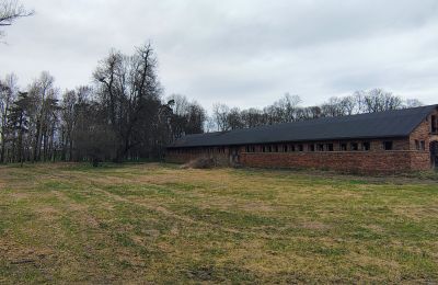 Herrenhaus/Gutshaus kaufen Raszków, Heiligkreuz, Foto 6/16